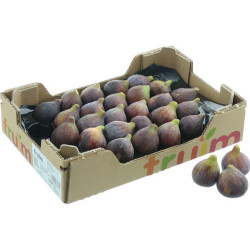 FIGUE FRAICHE NOIRE 42PCS